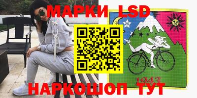 гидра Будённовск