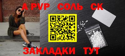 гидра Будённовск