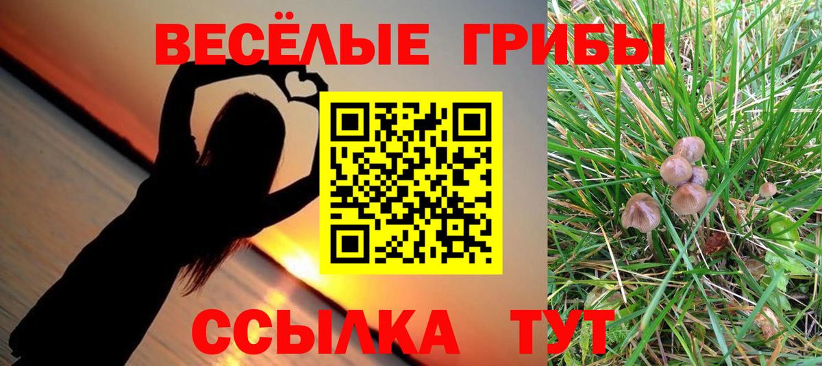 Галлюциногенные грибы MAGIC MUSHROOMS Кыштым