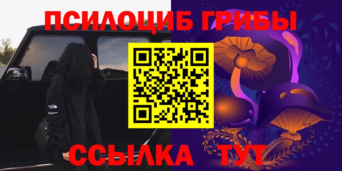 Кыштым  Галлюциногенные грибы Cubensis  Вход с VPN 